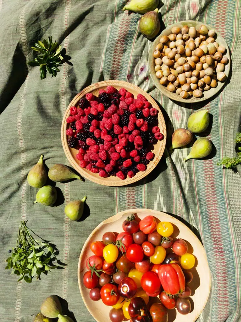 beeren-picnic-poschiavo Lokaler Küche in Poschiavo