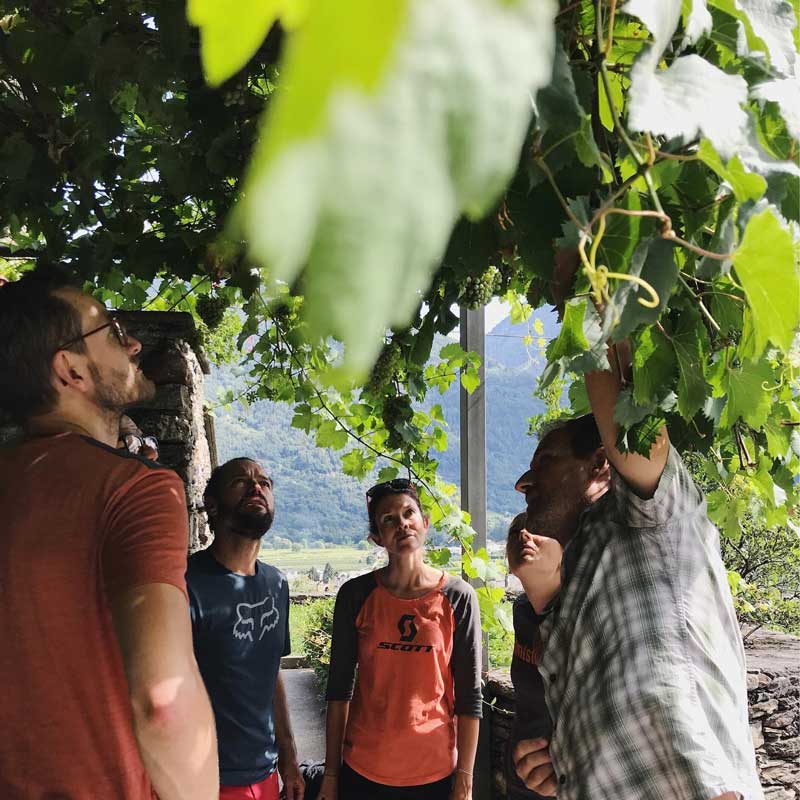 Teamevent im Veltlin Wein und Degustation