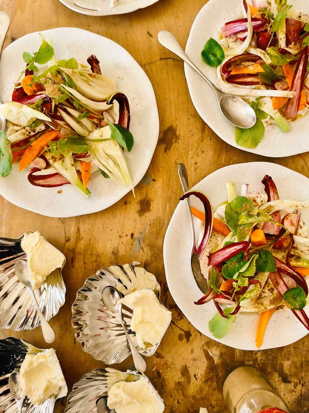 manievini-salate Tessin Mani e Vini